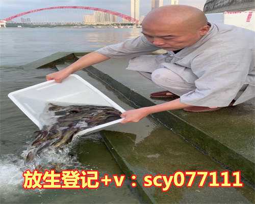 天津哪个湖可以放生乌龟鱼，2015中国(天